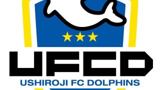 ドルフィンズエンブレム
